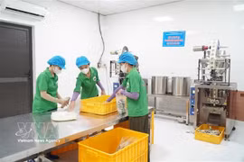 Many businesses in the central province of Nghe An have invested in science and technology to develop clean and safe production models. (Photo: VNA)