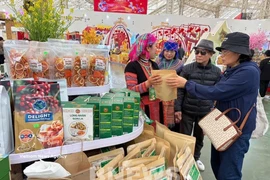 Shoppers at the first Glorious Spring Fair (Photo: VNA)