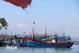 In the field of IUU fishing prevention, four key systems are now in operation: the National Fisheries Database (Vnfishbase), the Vessel Monitoring System (VMS), the database on administrative sanctions in fisheries, and the electronic catch documentation and traceability system (e-CDT). (Photo: VNA)