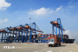 Container trucks operate at the Gemalink International Port in the Cai Mep Seaport Complex in Ho Chi Minh City's Tan Phuoc ward. (Photo: VNA)