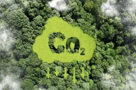 The exchange of greenhouse gas emission quotas and carbon credits is conducted on the domestic carbon credit exchange through the carbon trading system, which is interconnected with the national registration system. (Photo congly.vn)