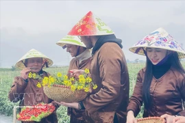 Tourism ambassadors of an agricultural tourism experience programme. (Photo: VNA)