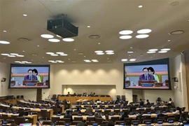 United Nations General Assembly (UNGA) has officially adopted a resolution on preparations for the High-Level Meeting on Pandemic Prevention, Preparedness and Response (Photo: VNA)
