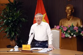Standing Deputy Prime Minister Nguyen Hoa Binh speaks at the meeting. (Photo: VNA)