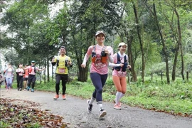 Runners joining in Cuc Phuong Jungle Paths 2025 (Photo: VNA)