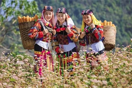 Community-based tourism has helped improve the life quality of ethnic minorities in Ha Giang province. (Photo: baodautu.vn)