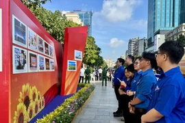 Young people visit the exhibition. (Photo: VNA)
