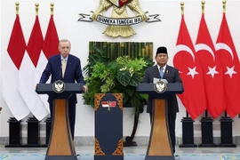 Indonesian President Prabowo Subianto (right) and his Turkish counterpart Recep Tayyip Erdogan at a joint press conference in Bogor on February 12. (Photo: AA/VNA)