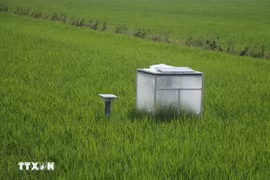 Emission reduction measurement system in rice fields. (Photo: VNA)