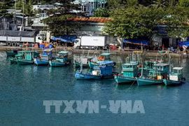 Fishing vessels moored at An Thoi port. (File photo: VNA)
