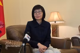 Ambassador Ton Thi Ngoc Huong, Permanent Representative of Vietnam to ASEAN grants an interview to the Vietnam News Agency. (Photo: VNA)