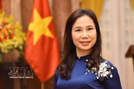 Vietnamese Ambassador to Sri Lanka and Maldives Trinh Thi Tam (Photo: VNA)