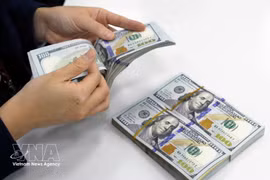 The daily reference exchange rate at 25,102 VND/USD on March 26. (Photo: VNA)