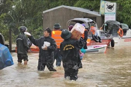 Authorities and residents of Da Nang city supply food to areas cut off by deep flooding (Photo: VNA)