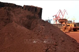 Rare earth materials prepared for export in Jiangsu province, China. (File photo: AFP/VNA)