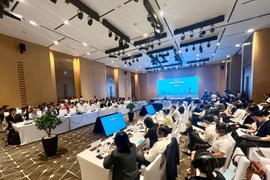 At the event “Meet Korea in Da Nang” on August 1. (Photo: VietnamPlus)