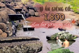 The Gio An system comprises 14 wells across the villages of An Nha, An Huong, Hao Son, Long Son, and Tan Van. (Photo: VietnamPlus)