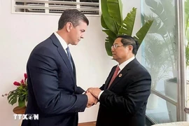 Prime Minister Pham Minh Chinh (right) meets with Paraguayan President Santiago Pena on the sidelines of G20 Summit in Rio de Janeiro, Brazil in November 2024. (Photo: VNA)