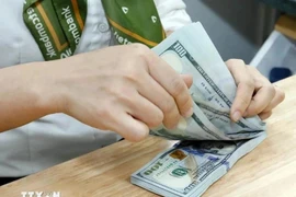 The State Bank of Vietnam sets daily reference exchange rate for the US dollar at 24,332 VND/USD on January 7. (Photo: VNA)