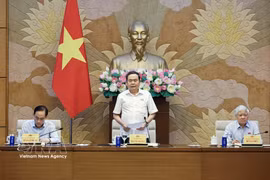 NA Chairman Tran Thanh Man chairs a working session with the Ministry of Foreign Affairs, the NA’s Committee for National Defence, Security and External Relations, and the NA Office in Hanoi on June 15, 2026. (Photo: VNA)