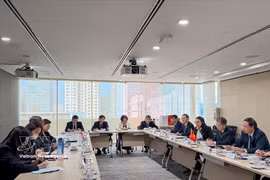 The Vietnamese delegation holds a working session with representatives of Singapore’s Ministry of Law. (Photo: VNA)