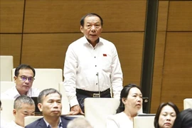 Minister of Culture, Sports, and Tourism Nguyen Van Hung speaks at the meeting (Photo: VNA)