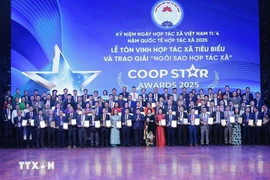 The ‘Coop Star Awards 2025’ is presented to 100 exemplary cooperatives (Photo: VNA)