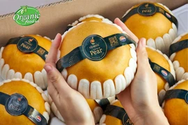 Illustrative photo (Photo: organicfood.vn)