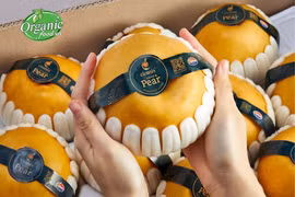 Illustrative photo (Photo: organicfood.vn)