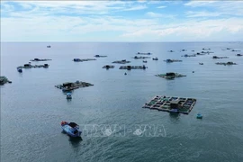 Model of farming in cages in Ninh Thuan. (Photo: VNA)