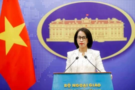 Vietnam steps up efforts to combat illegal fishing