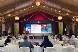 Participants at the workshop on green tourism in Quang Nam province. (Photo: baovanhoa.vn)