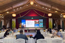 Participants at the workshop on green tourism in Quang Nam province. (Photo: baovanhoa.vn)