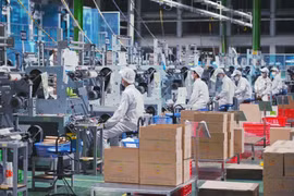 Vietnam is expected to have 2 million businesses by 2030. (Photo: VNA)