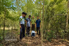 The release site is carefully selected to provide suitable ecological conditions and improve the pangolin's chances of survival in the wild. (Photo: VNA)