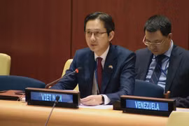 Ambassador Do Hung Viet, Permanent Representative of Vietnam to the United Nations, speaks at a debate on peace in Africa. (Photo: VNA)