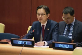 Ambassador Do Hung Viet, Permanent Representative of Vietnam to the United Nations, speaks at a debate on peace in Africa. (Photo: VNA)