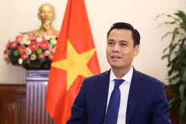 Deputy Minister of Foreign Affairs Dang Hoang Giang (Photo courtesy of the Ministry of Foreign Affairs)
