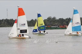 Sailing teams compete on the Hau River. (Photo: VNA)