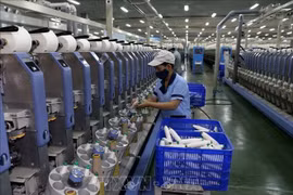 2025 has been a year of strong momentum for Vietnam’s recovery, according to OECD. (Illustrative photo: VNA)