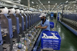 2025 has been a year of strong momentum for Vietnam’s recovery, according to OECD. (Illustrative photo: VNA)