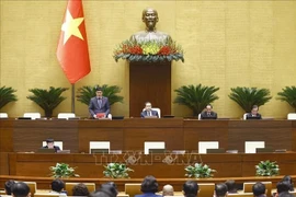 NA Vice Chairman Vu Hong Thanh speaks at the session on December 3, 2025 (Photo: VNA)