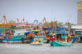 Authorities visit each fishing vessel to conduct communication activities aimed at raising fishermen’s awareness on efforts to have the EC's "yellow card” lifted. (Photo: VNA) 