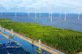 Wind turbines in Ca Mau province. (Photo: VNA)