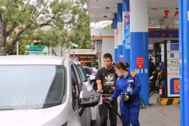 A petrol station in Hai Phong city. Kerosene is temporarily excluded from the calculation of fuel base price. (Photo: VNA)