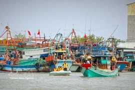 Authorities visit each fishing vessel to conduct communication activities aimed at raising fishermen’s awareness on efforts to have the EC's "yellow card” lifted. (Photo: VNA) 