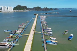 Tourist boats anchored at Ha Long International Cruise Port in Quang Ninh province. (Photo: VNA) 