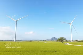 The Dam Nai wind farm in Thuan Bac commune, Khanh Hoa province (Photo: VNA)