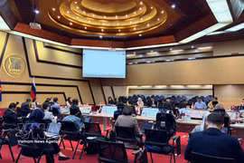 An overview of the 24th ASEAN-Russia Joint Cooperation Committee Meeting in Jakarta (Photo published by VNA)
