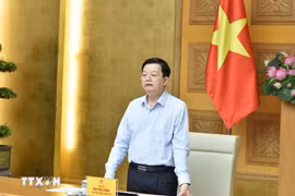 Deputy Prime Minister Mai Van Chinh, head of the steering committee for the national exhibition marking the 80th anniversary of Vietnam’s National Day, speaks at the hybrid meeting with relevant ministries, agencies, and provincial authorities on July 25. (Photo: VNA)